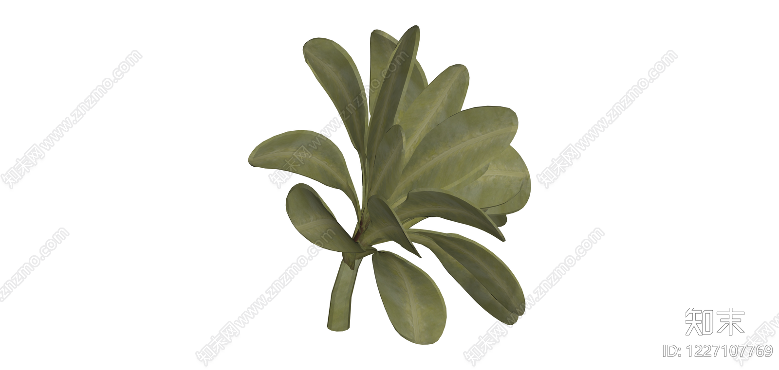 独立绿植灌木模型SU模型下载【ID:1227107769】