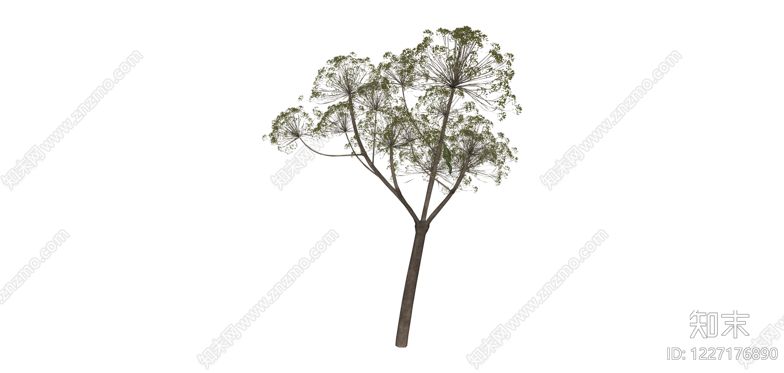 完整景观树木模型SU模型下载【ID:1227176890】