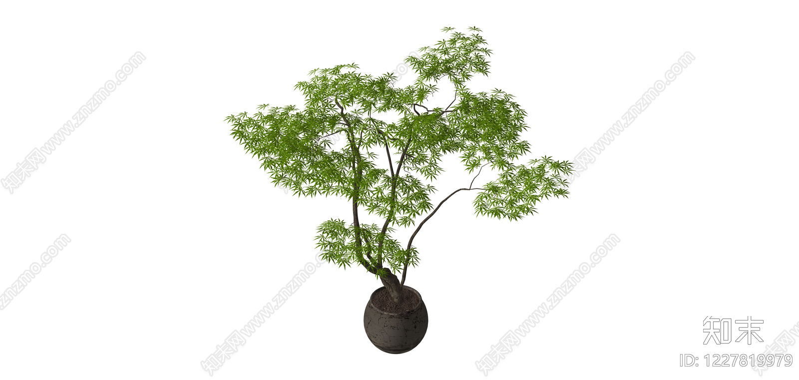 盆栽景观绿植SU模型下载【ID:1227819979】