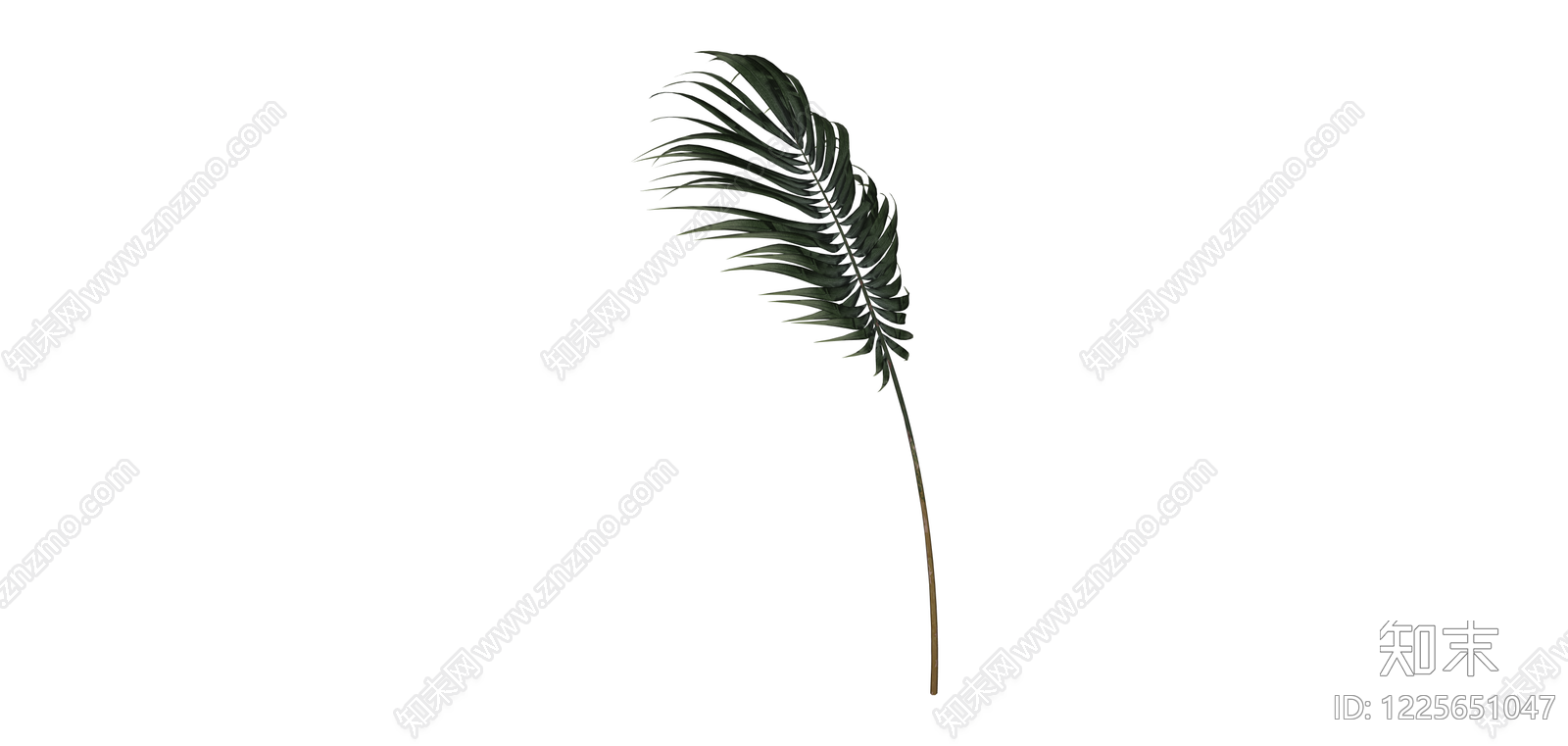 仿真棕榈植物枝叶SU模型下载【ID:1225651047】