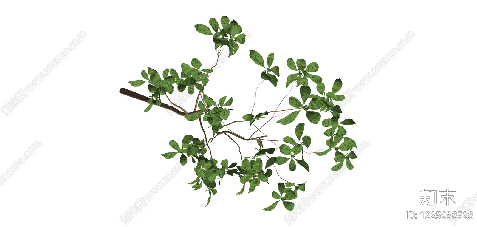 单株带叶小树模型SU模型下载【ID:1225938528】