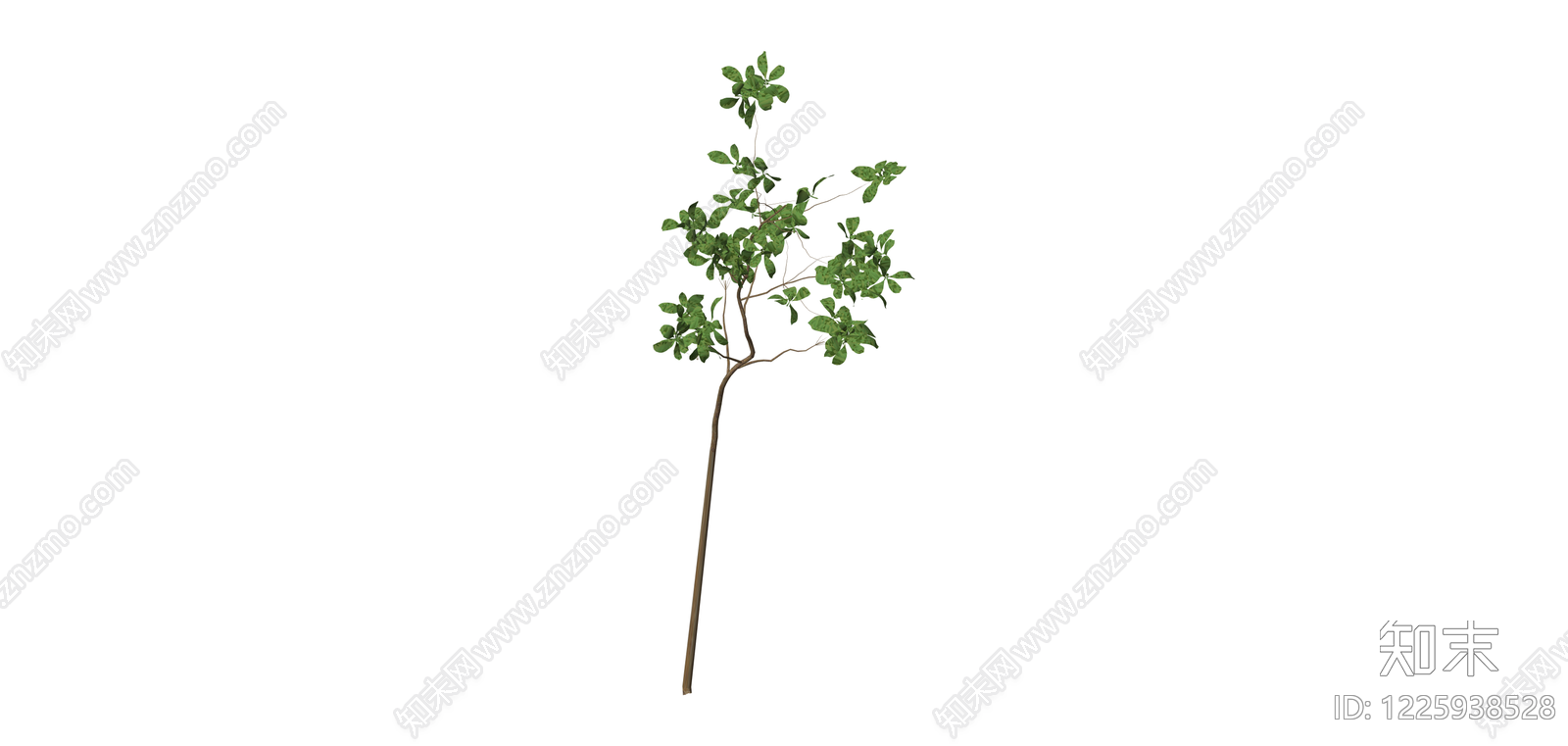 单株带叶小树模型SU模型下载【ID:1225938528】