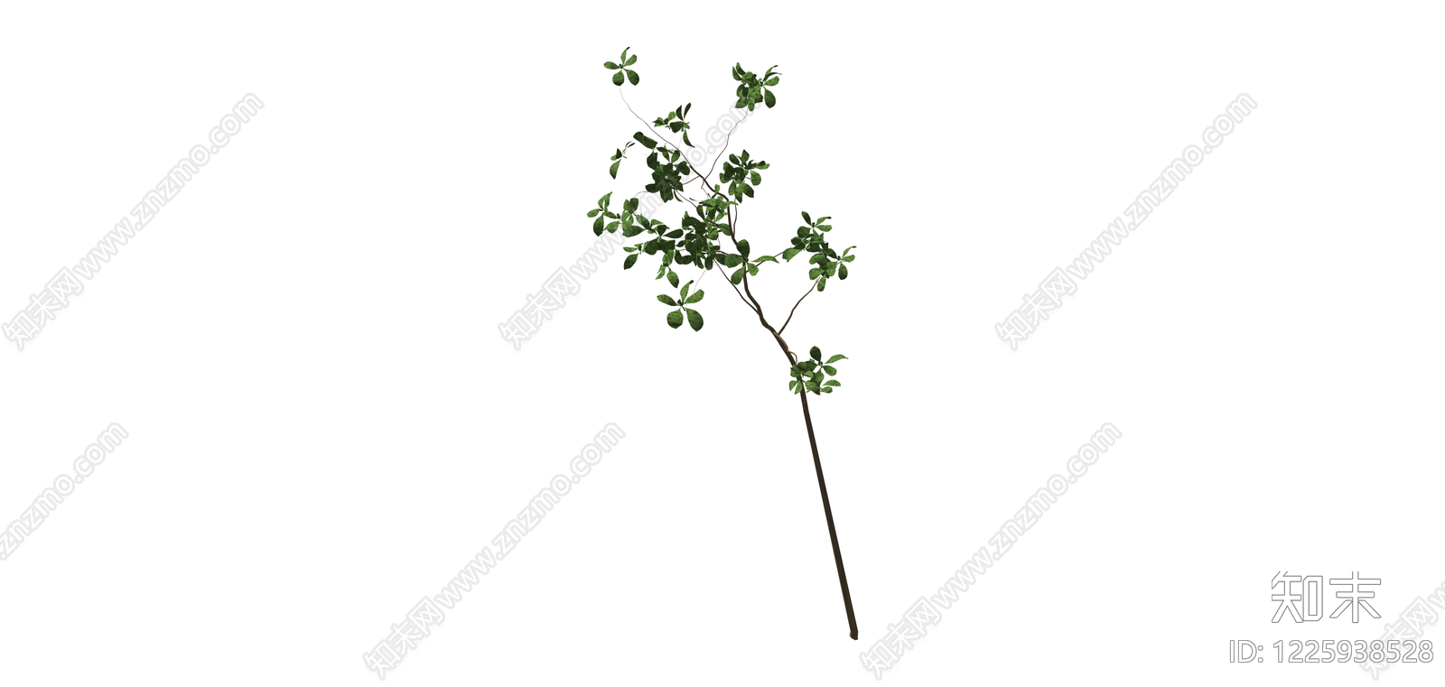 单株带叶小树模型SU模型下载【ID:1225938528】