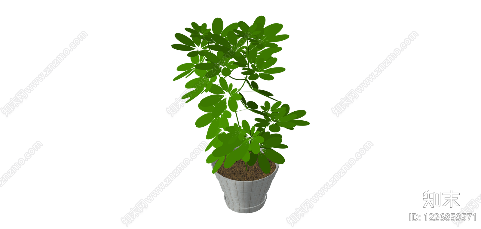 盆栽绿植（带盆）SU模型下载【ID:1226859571】