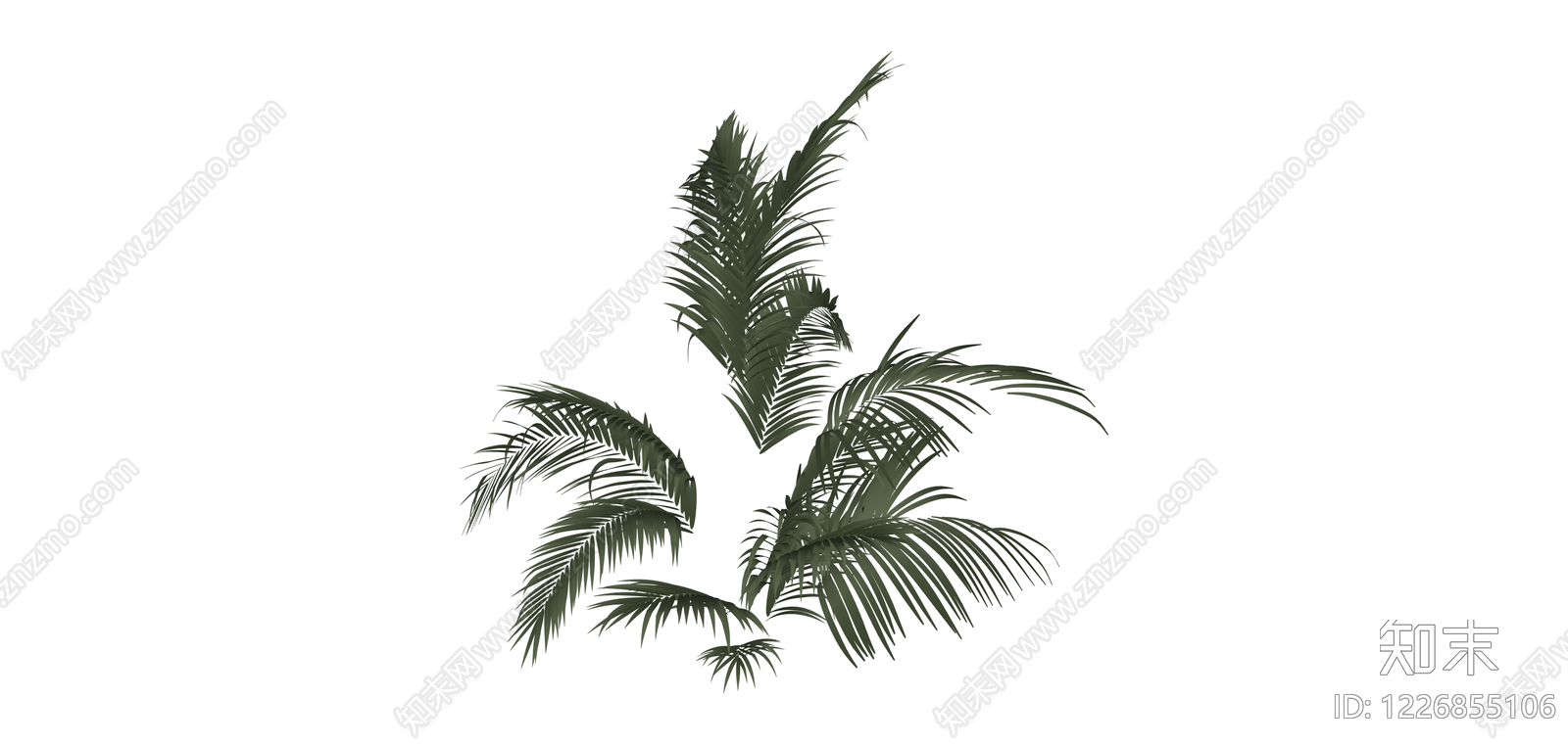 深绿色散尾葵植物SU模型下载【ID:1226855106】