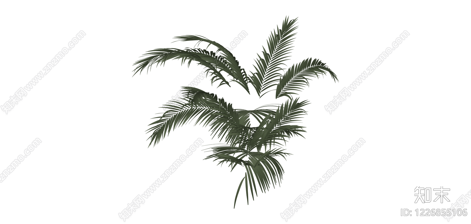 深绿色散尾葵植物SU模型下载【ID:1226855106】