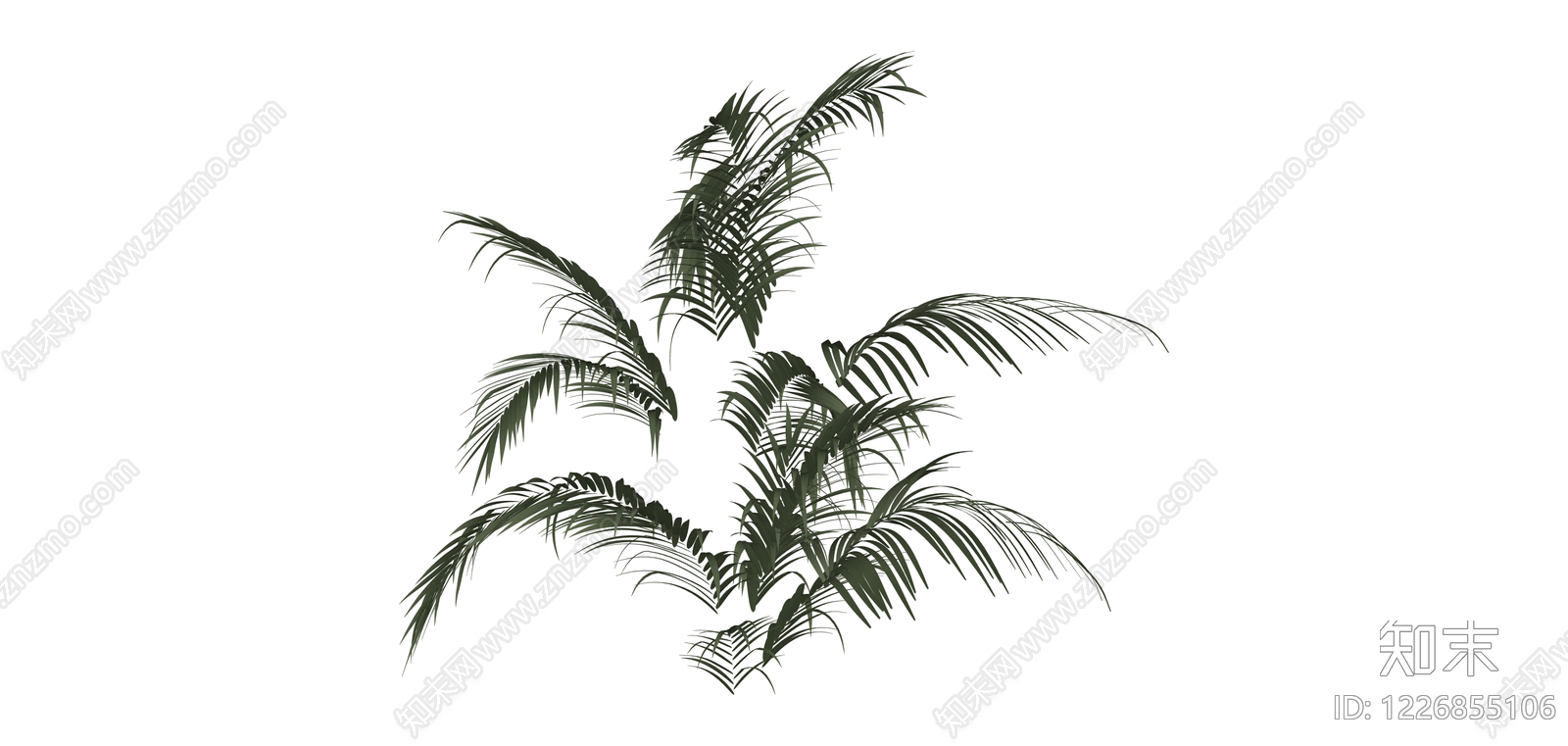 深绿色散尾葵植物SU模型下载【ID:1226855106】
