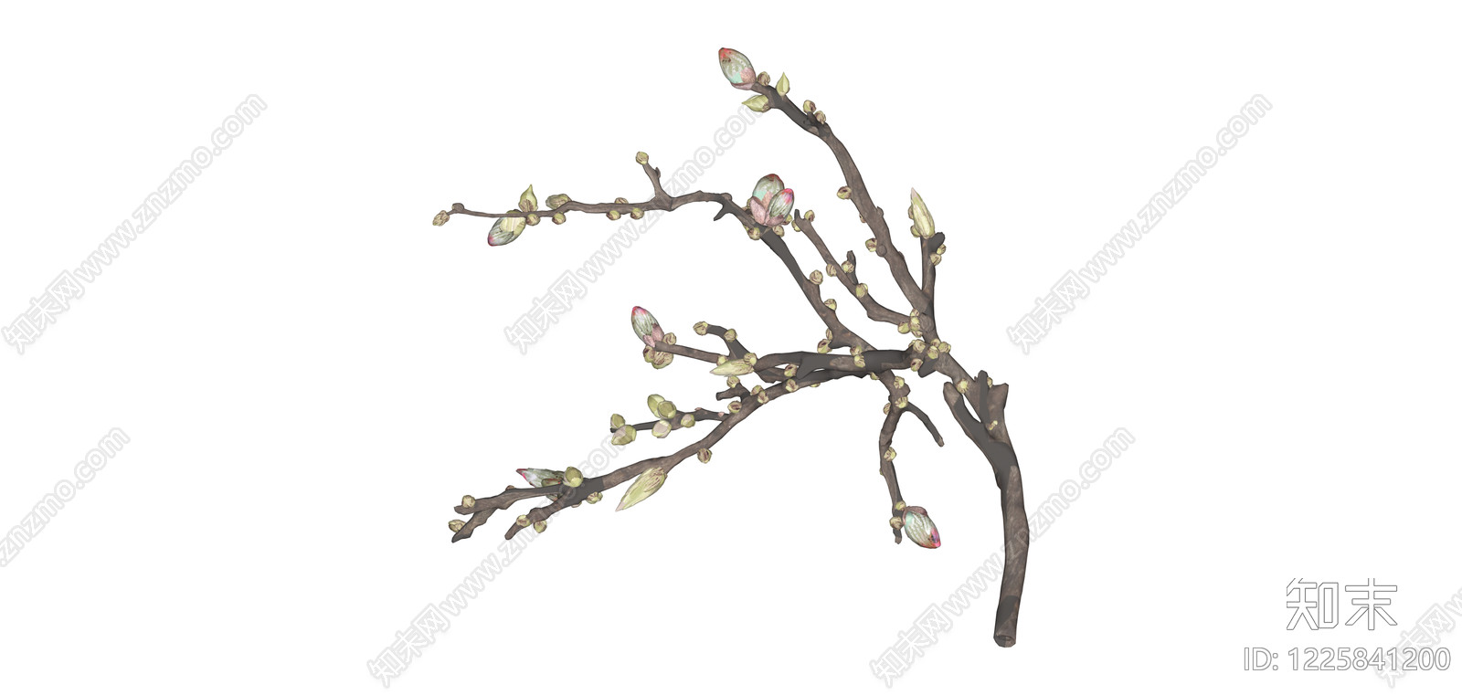 带花苞枯枝植物SU模型下载【ID:1225841200】