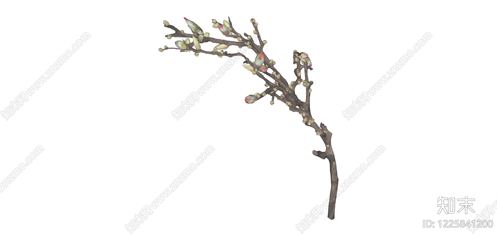 带花苞枯枝植物SU模型下载【ID:1225841200】