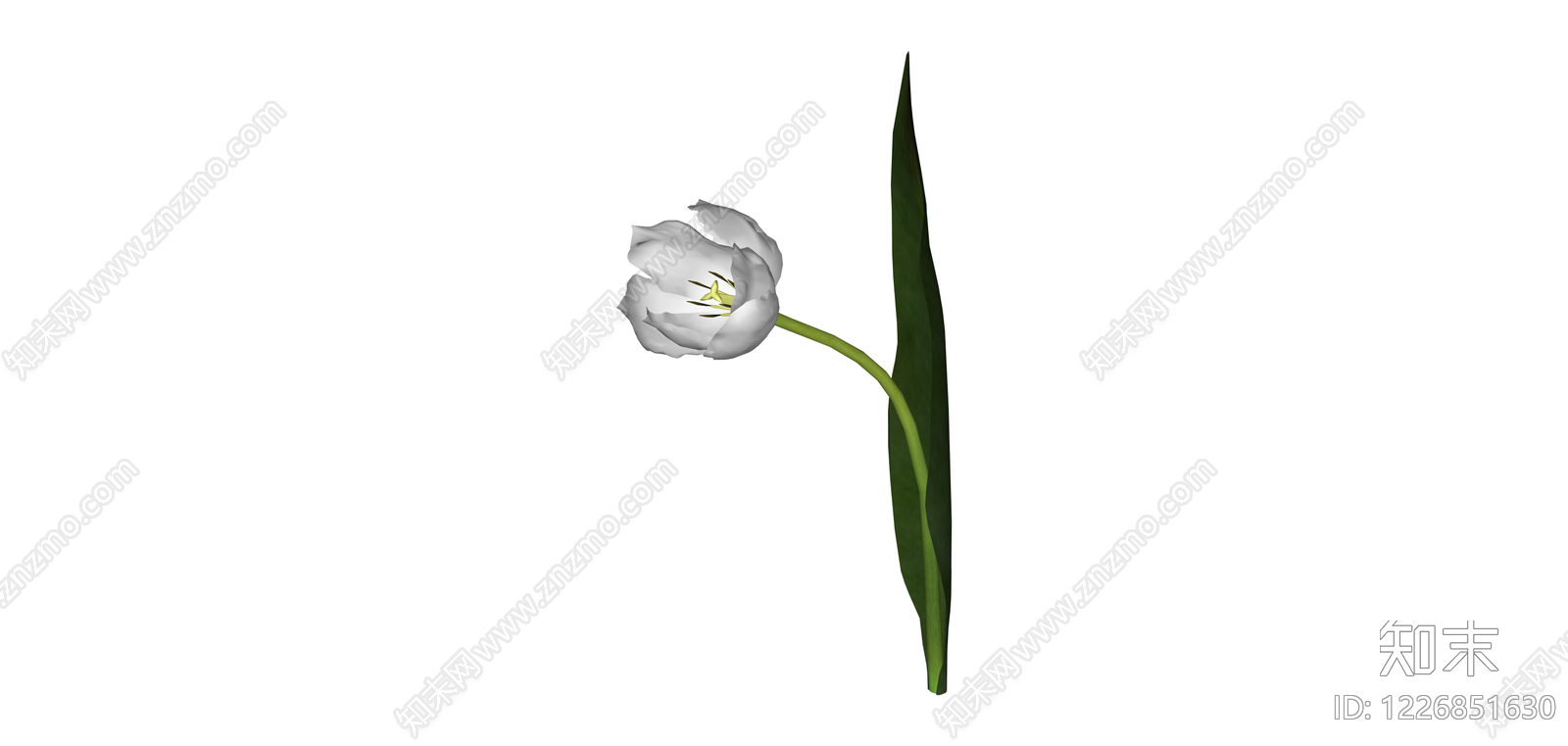 白郁金香花艺模型SU模型下载【ID:1226851630】