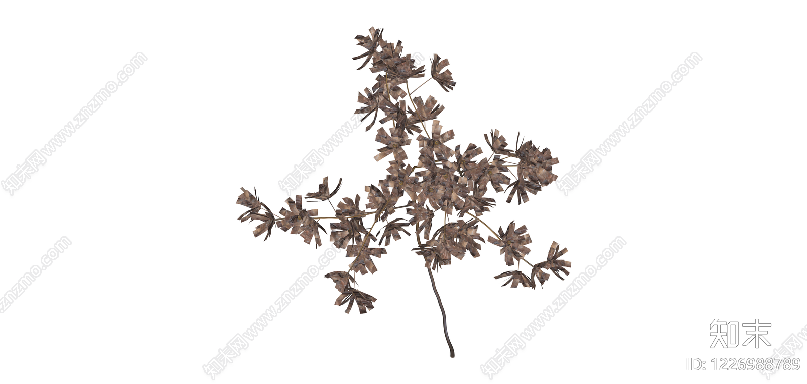 干枯植物枝条SU模型下载【ID:1226988789】