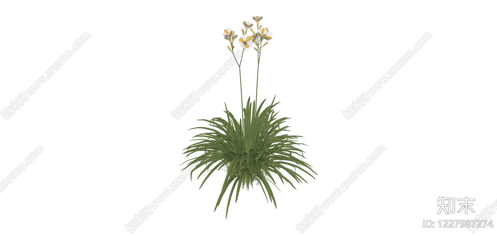 带花绿植盆栽SU模型下载【ID:1227987274】