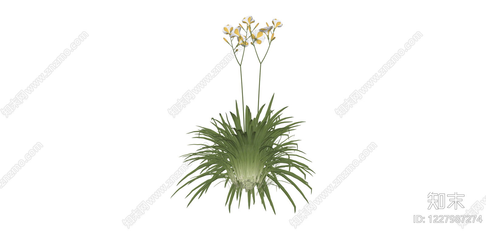 带花绿植盆栽SU模型下载【ID:1227987274】