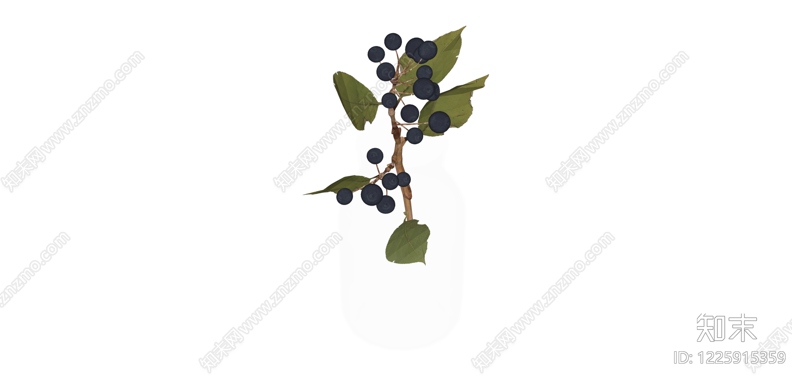瓶插浆果植物枝条SU模型下载【ID:1225915359】