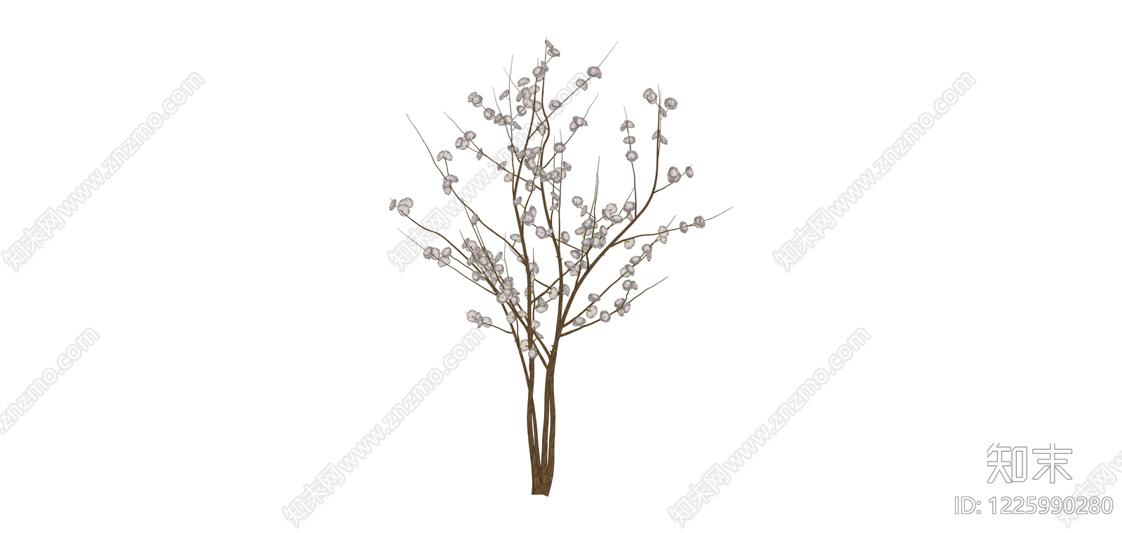 仿真银叶尤加利植物SU模型下载【ID:1225990280】