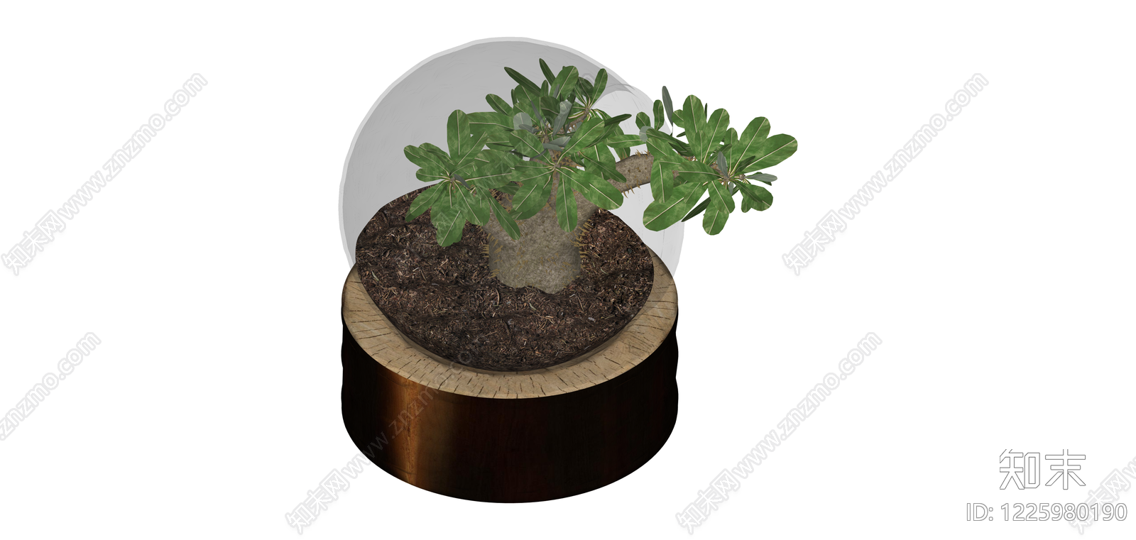 带盆沙漠玫瑰盆栽SU模型下载【ID:1225980190】