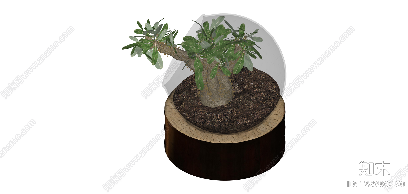 带盆沙漠玫瑰盆栽SU模型下载【ID:1225980190】