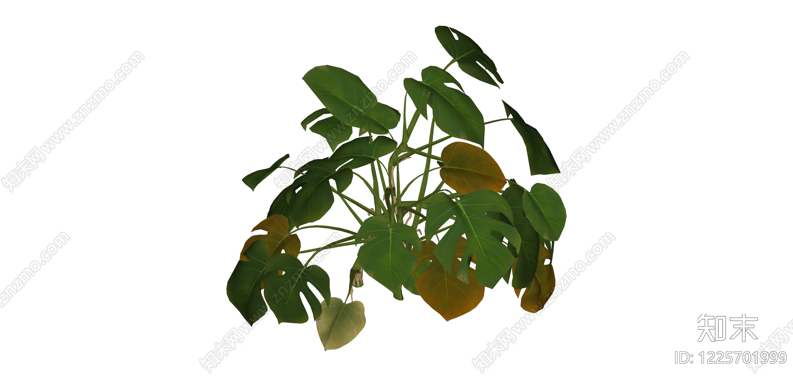 龟背竹盆栽模型SU模型下载【ID:1225701999】