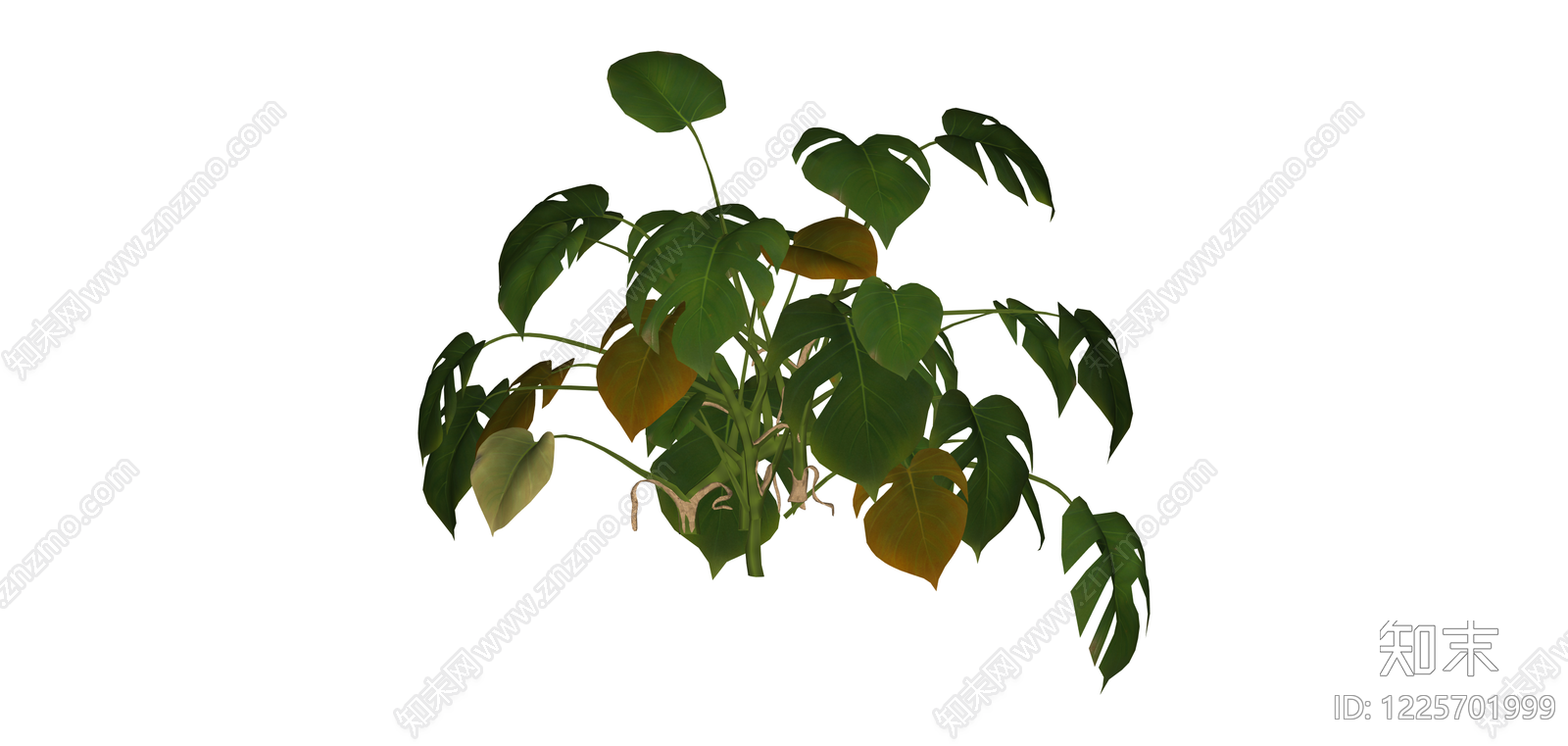 龟背竹盆栽模型SU模型下载【ID:1225701999】