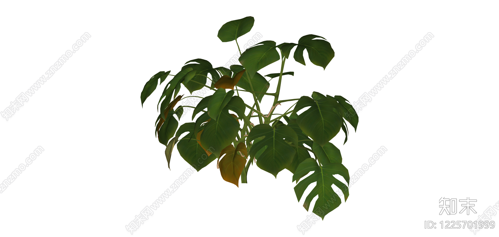 龟背竹盆栽模型SU模型下载【ID:1225701999】