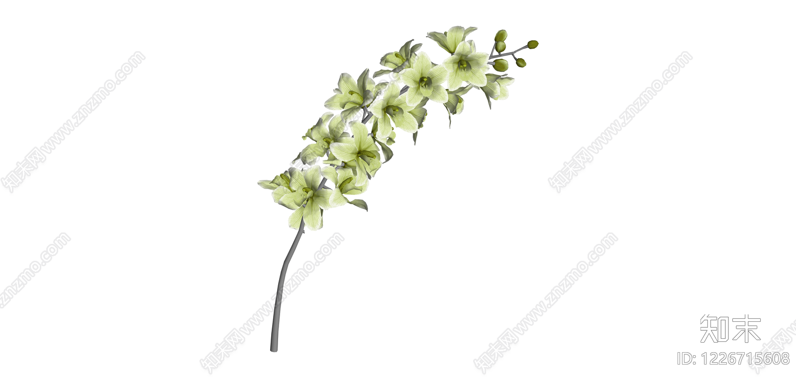 单支绿色花艺SU模型下载【ID:1226715608】
