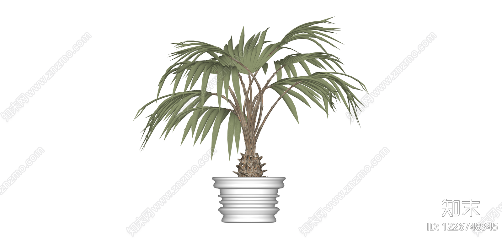 带盆棕榈植物SU模型下载【ID:1226748345】