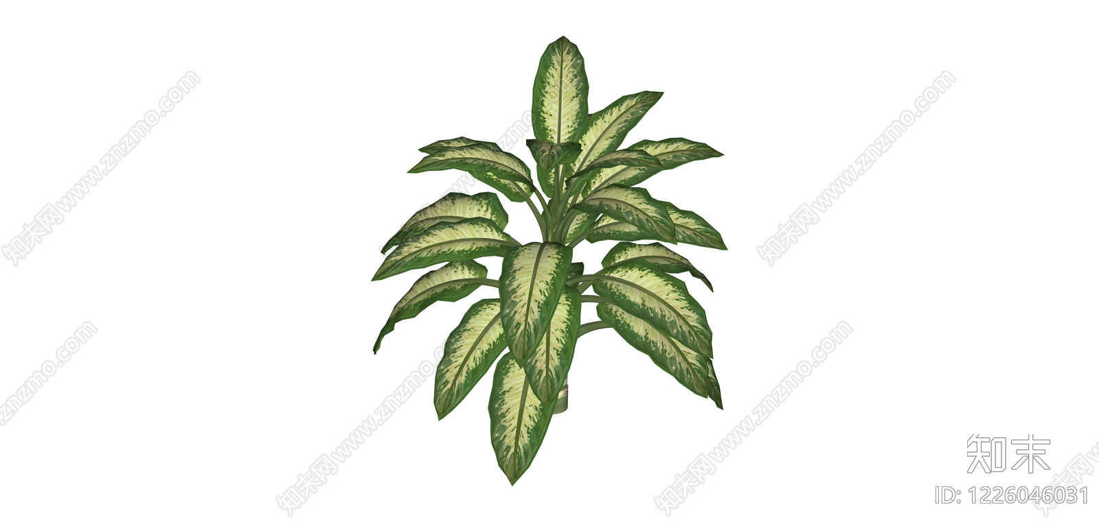 带茎干观叶植物SU模型下载【ID:1226046031】