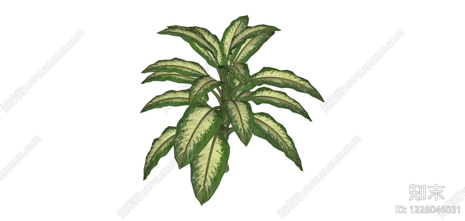带茎干观叶植物SU模型下载【ID:1226046031】