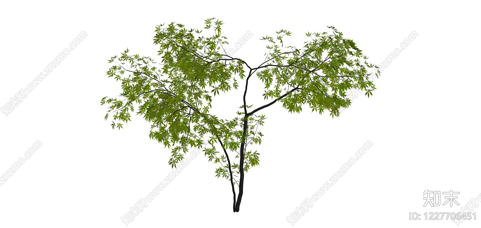 带盆完整景观树SU模型下载【ID:1227706451】