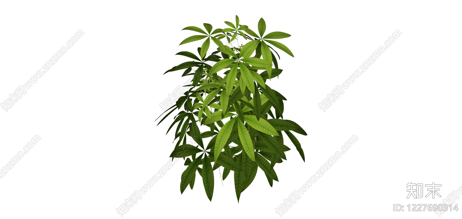 绿色阔叶植物模型SU模型下载【ID:1227690314】