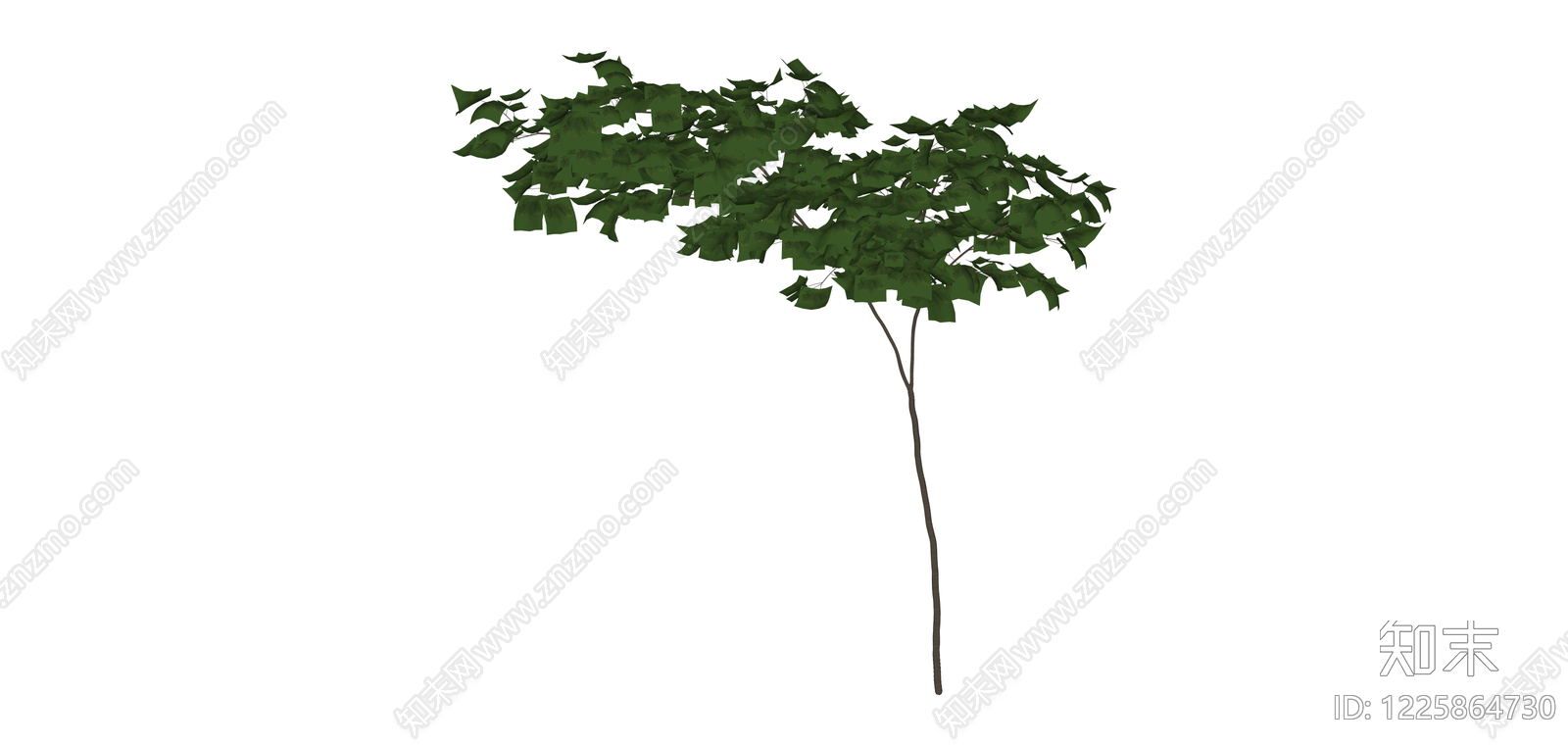 绿色乔木模型SU模型下载【ID:1225864730】