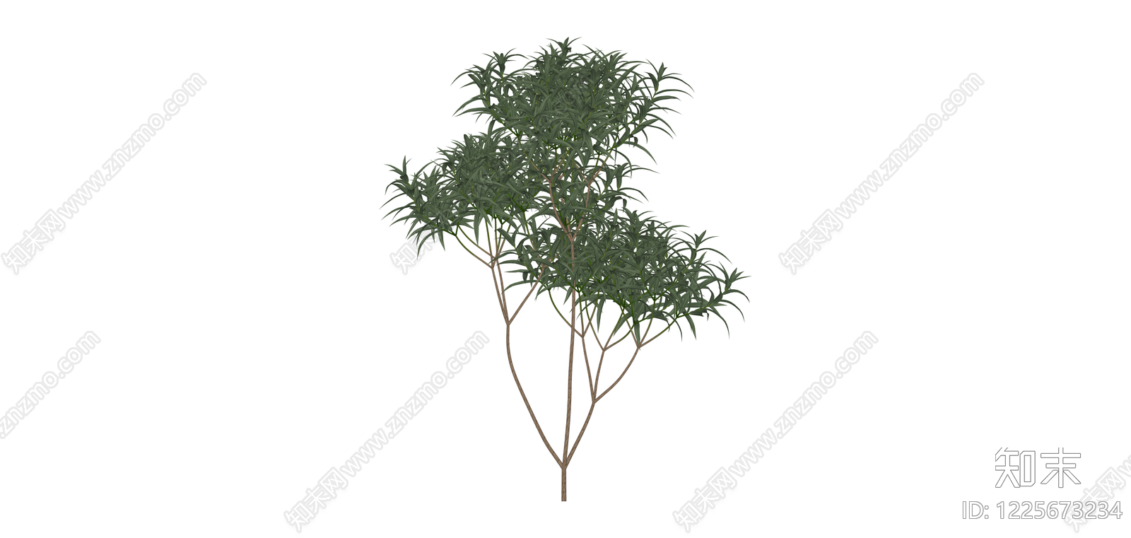 多杆丛生灌木模型SU模型下载【ID:1225673234】