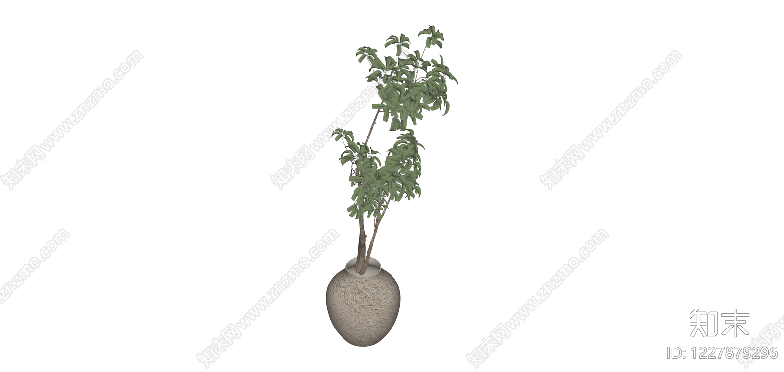 盆栽绿植植物模型SU模型下载【ID:1227879296】