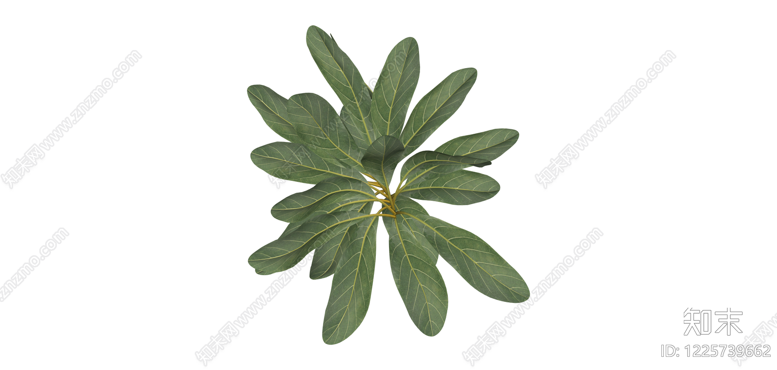阔叶绿植灌木SU模型下载【ID:1225739662】