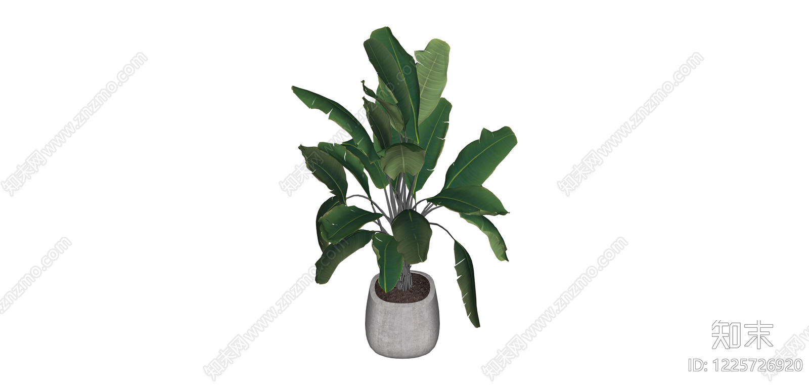 盆栽绿植SU模型下载【ID:1225726920】