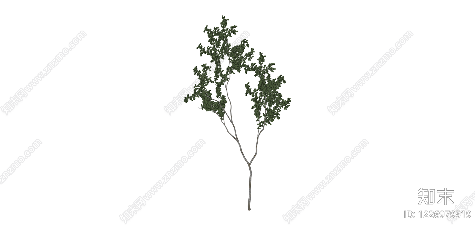 独立乔木模型SU模型下载【ID:1226979519】