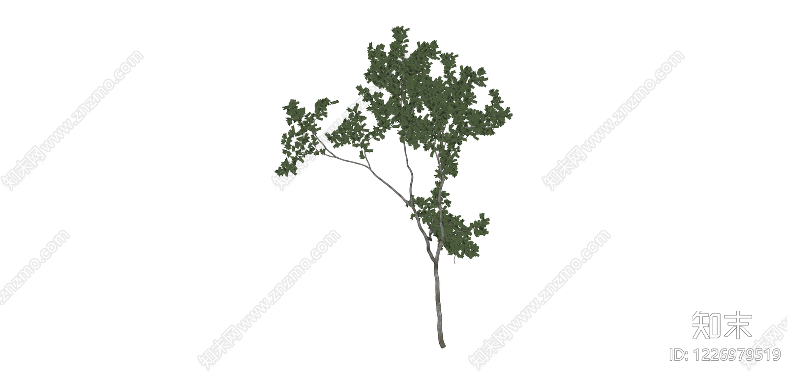 独立乔木模型SU模型下载【ID:1226979519】