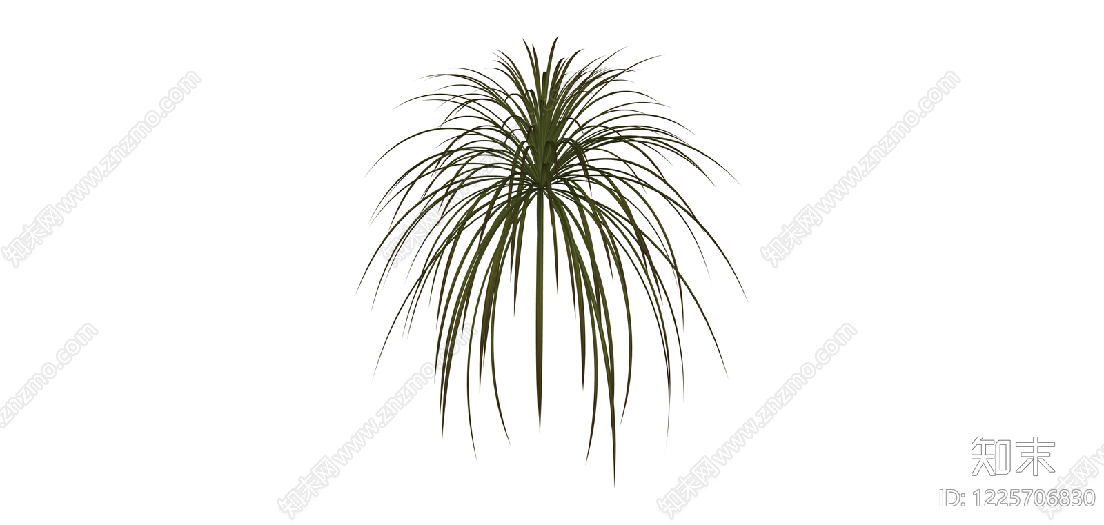 散尾葵绿植模型SU模型下载【ID:1225706830】