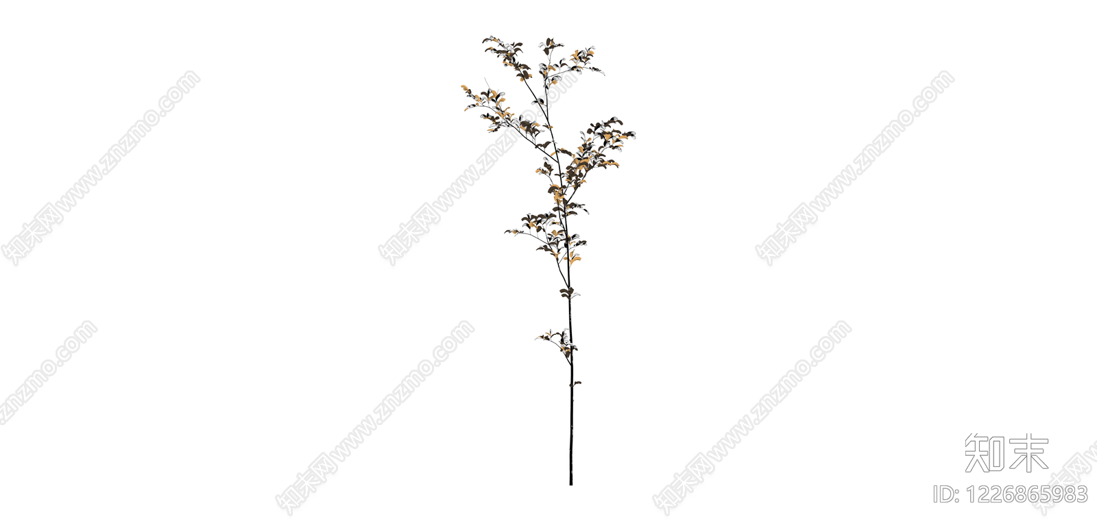枯枝植物素材SU模型下载【ID:1226865983】