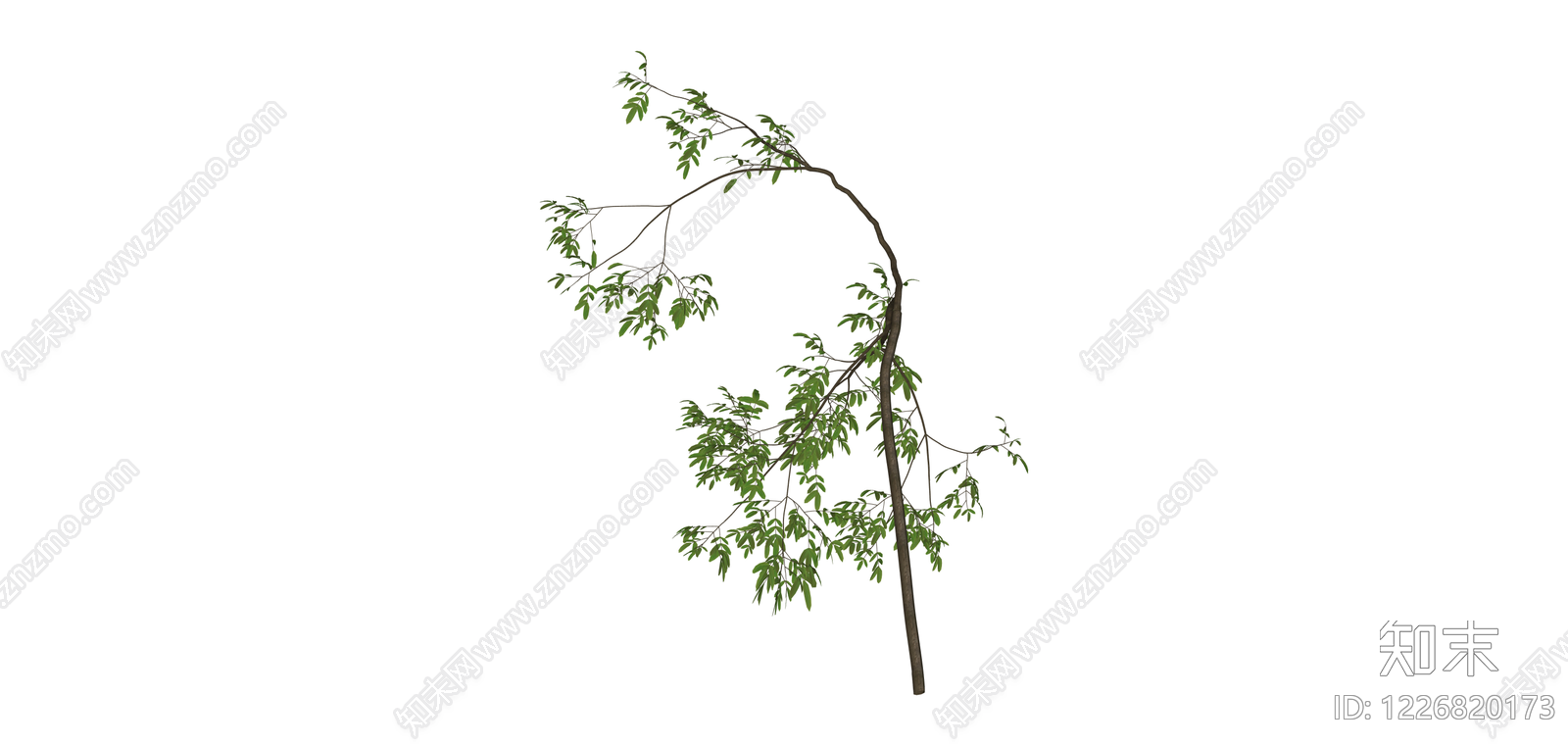 带枝叶植物模型SU模型下载【ID:1226820173】