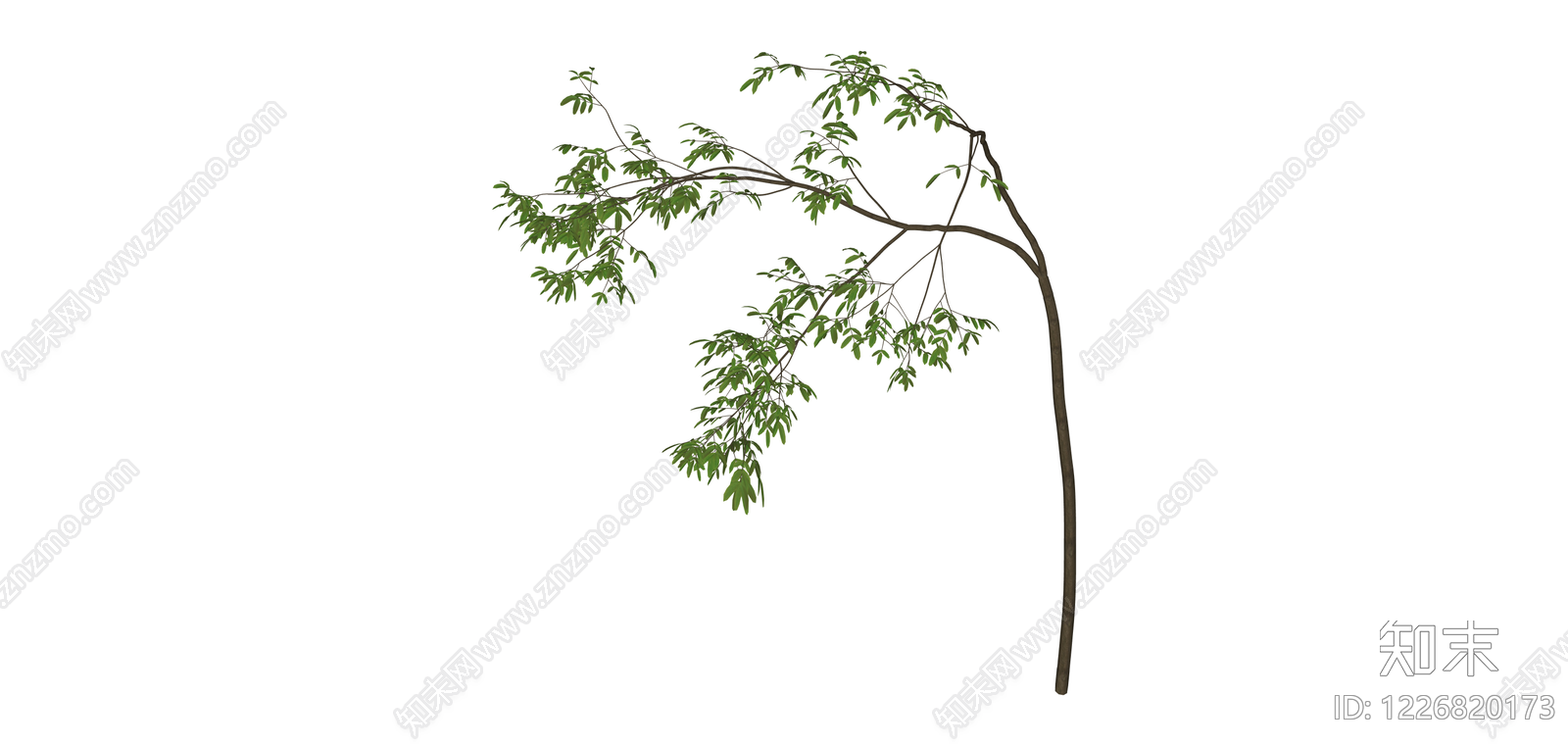带枝叶植物模型SU模型下载【ID:1226820173】