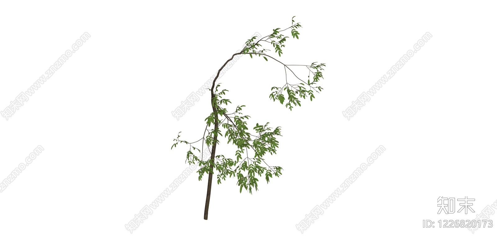 带枝叶植物模型SU模型下载【ID:1226820173】