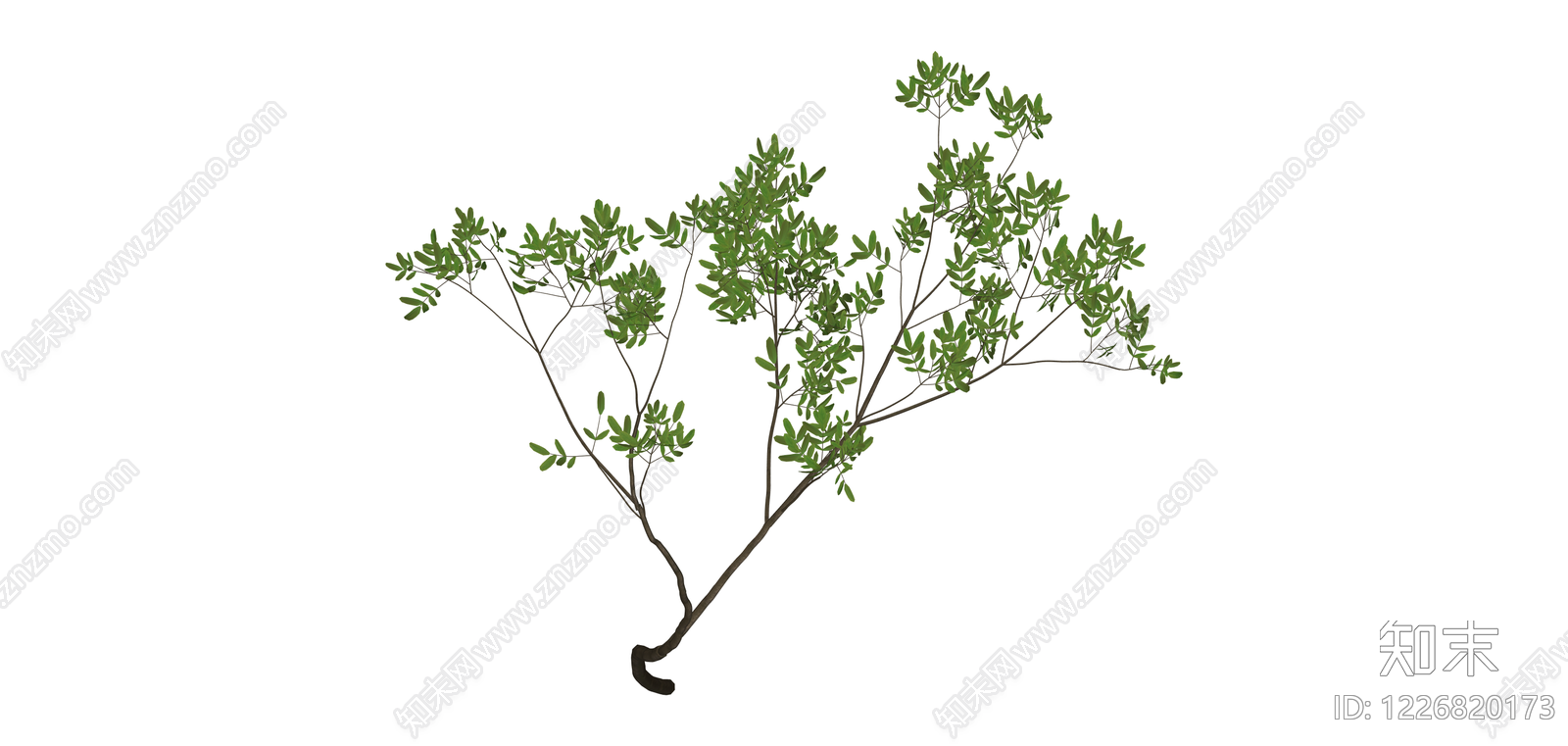 带枝叶植物模型SU模型下载【ID:1226820173】