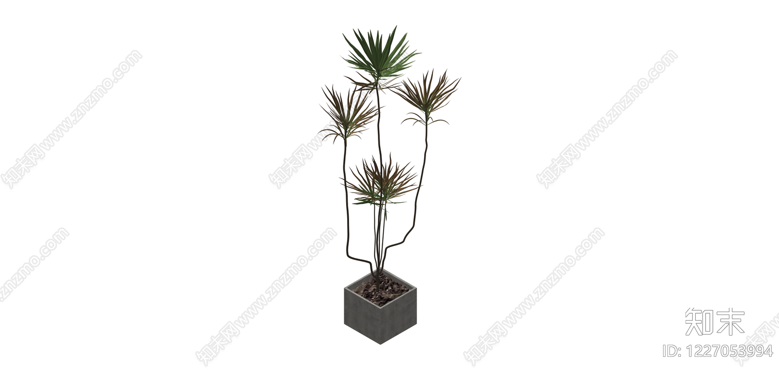 带盆绿植盆栽SU模型下载【ID:1227053994】