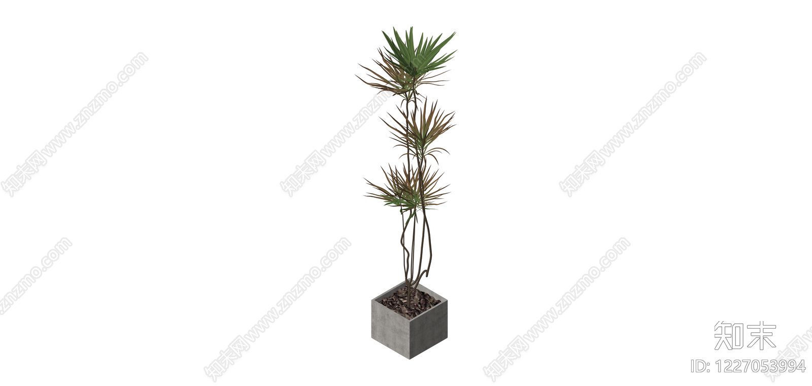 带盆绿植盆栽SU模型下载【ID:1227053994】