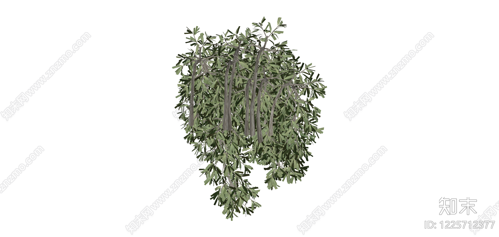 垂枝绿植灌木模型SU模型下载【ID:1225712377】