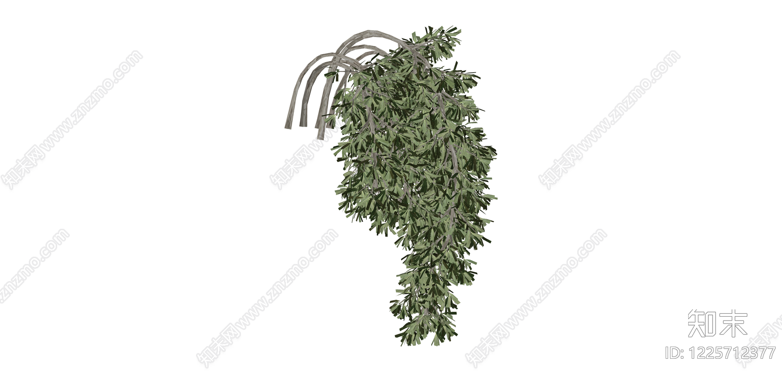 垂枝绿植灌木模型SU模型下载【ID:1225712377】