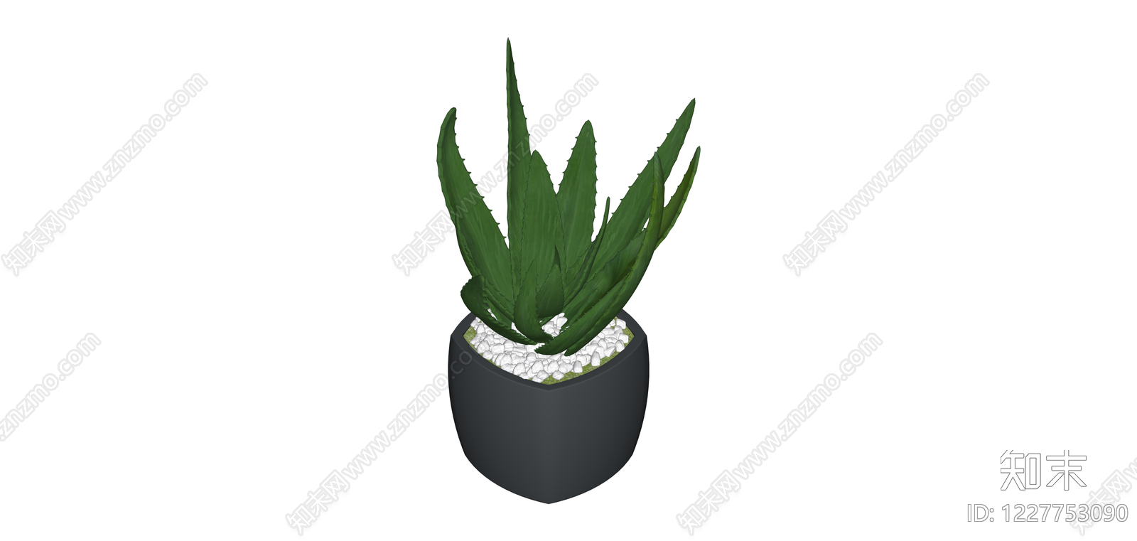 带盆芦荟盆栽模型SU模型下载【ID:1227753090】