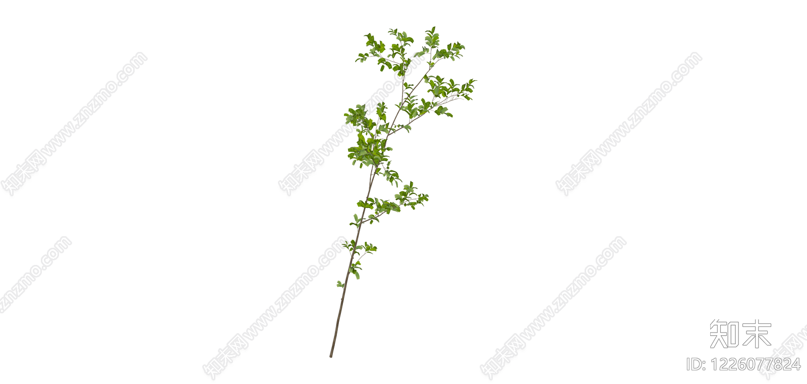 带盆绿植景观树SU模型下载【ID:1226077824】