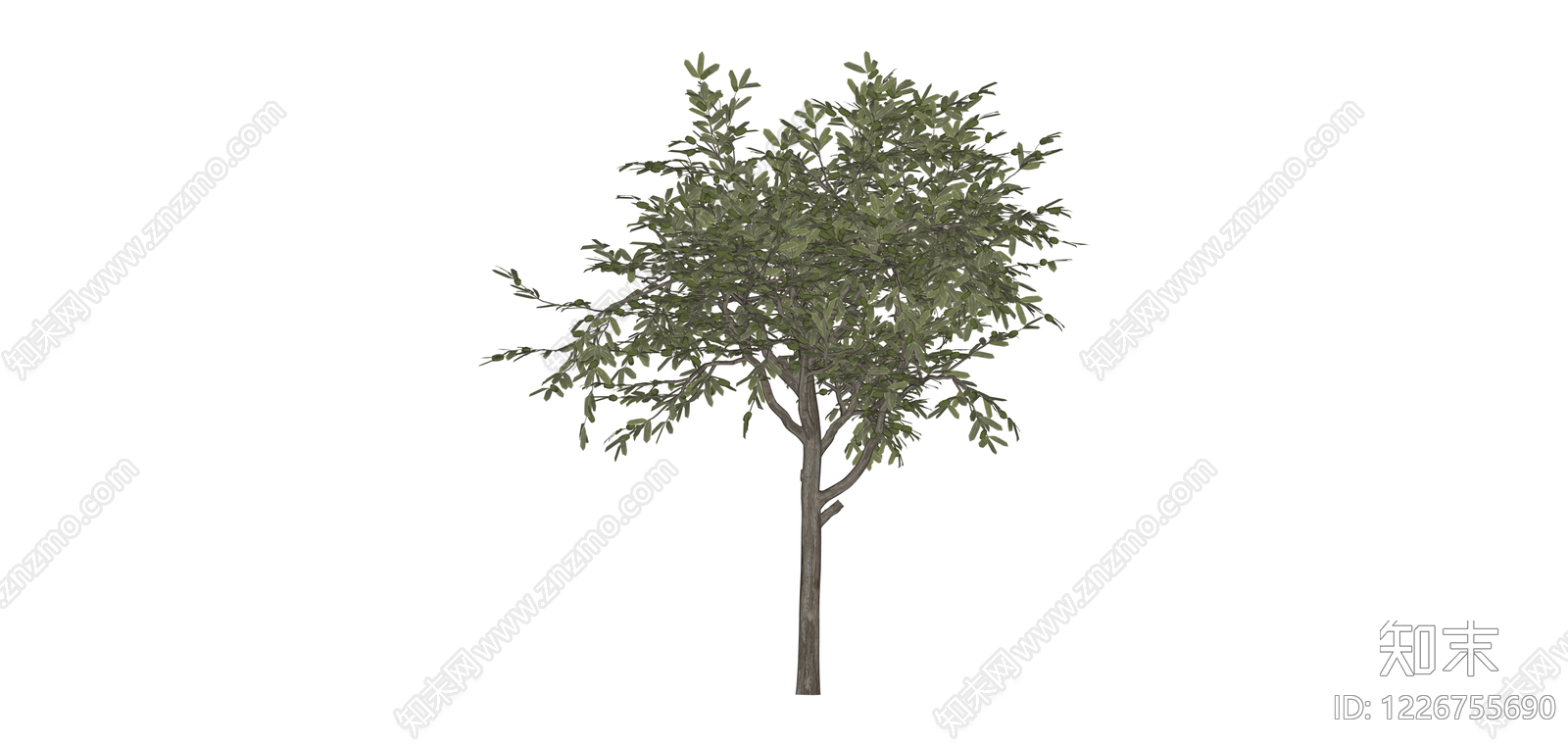 完整景观乔木模型SU模型下载【ID:1226755690】